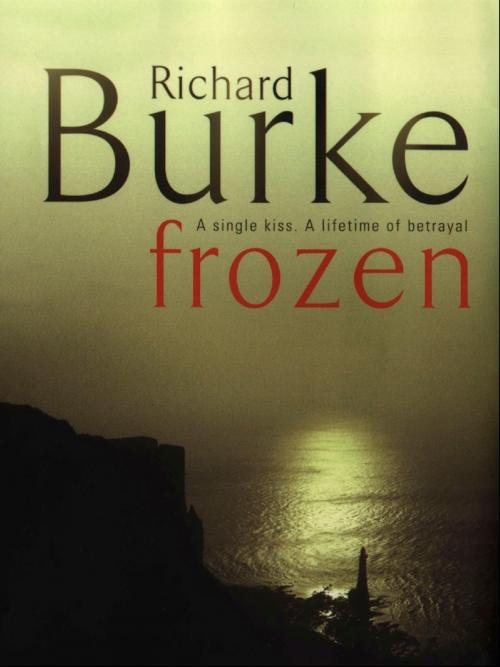 Cover of the book Frozen by Richard Burke, Richard Burke