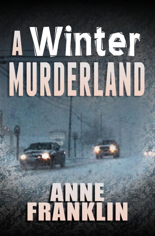 Cover of the book A Winter Murderland by Anne Franklin, Anne Franklin