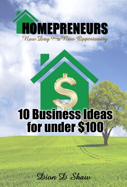 Cover of the book 10 Home Business Ideas for under $100 by Dion Shaw, Dion Shaw
