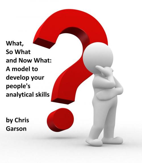 Cover of the book What, So What, Now What by Chris Garson, Chris Garson