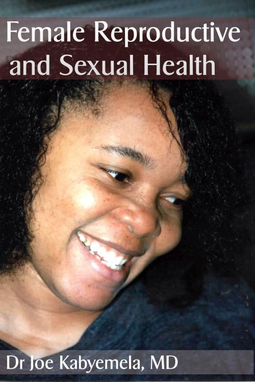 Cover of the book Female Reproductive and Sexual Health by Joe Kabyemela, Joe Kabyemela