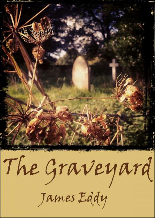 Cover of the book The Graveyard by James Eddy, James Eddy