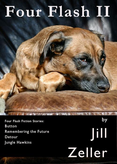 Cover of the book Four Flash II by Jill Zeller, J Z Morrison Press
