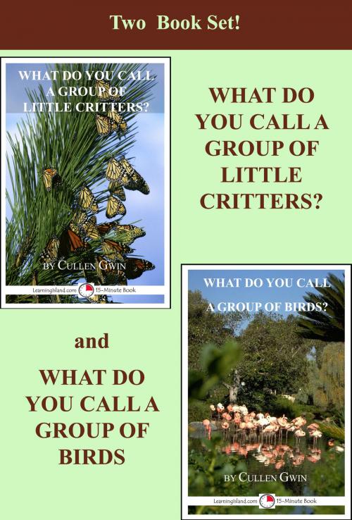 Cover of the book Two Book Set! What Do You Call A Group Of Little Critters and What Do You Call A Group of Birds by Cullen Gwin, LearningIsland.com