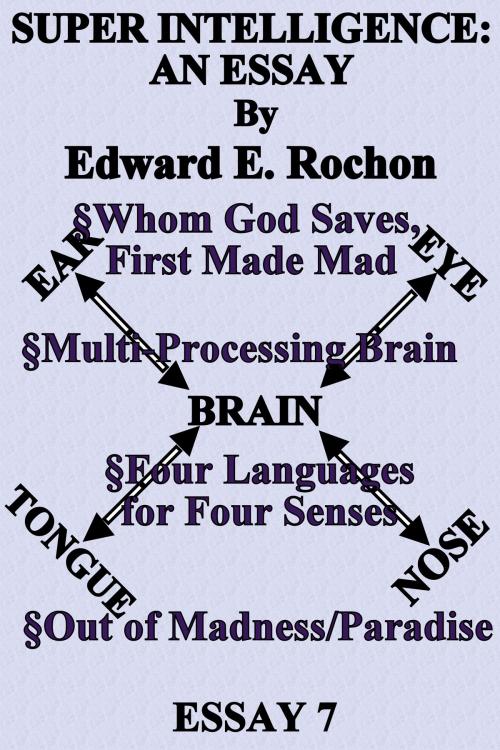 Cover of the book Super Intelligence: An Essay by Edward E. Rochon, Edward E. Rochon