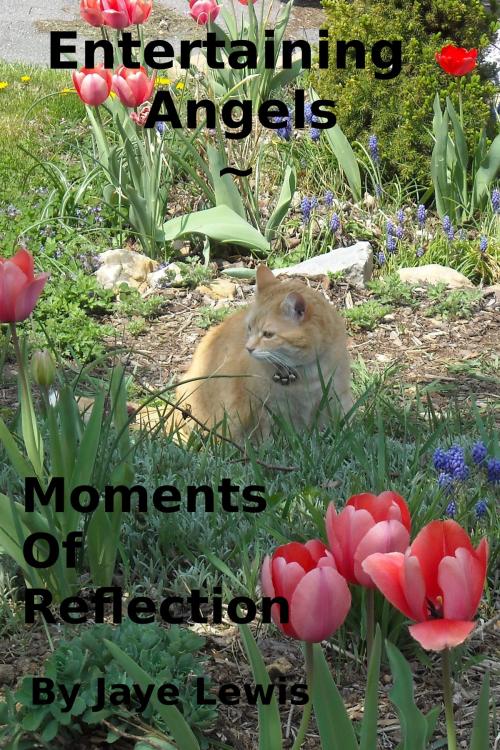 Cover of the book Entertaining Angels ~ Moments of Reflection by Jaye Lewis, Jaye Lewis