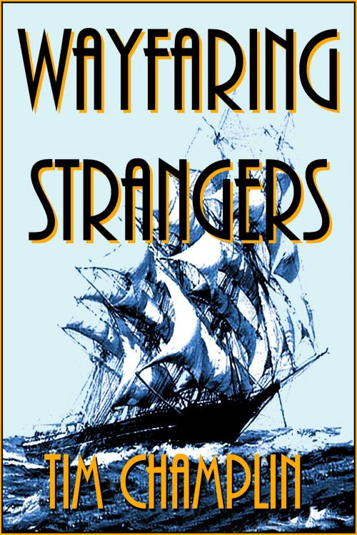 Cover of the book Wayfaring Strangers by Tim Champlin, Tim Champlin