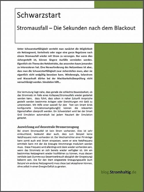 Cover of the book Schwarzstart by Thorsten Zoerner, Thorsten Zoerner