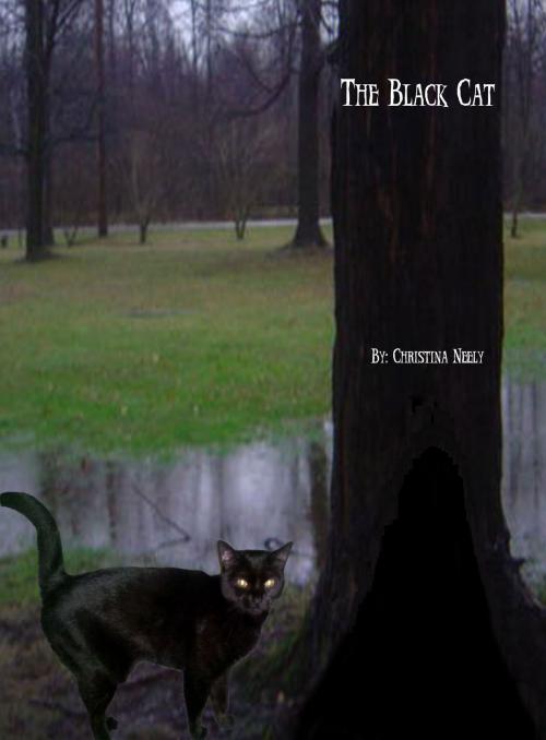 Cover of the book The Black Cat by Christina Neely, Christina Neely