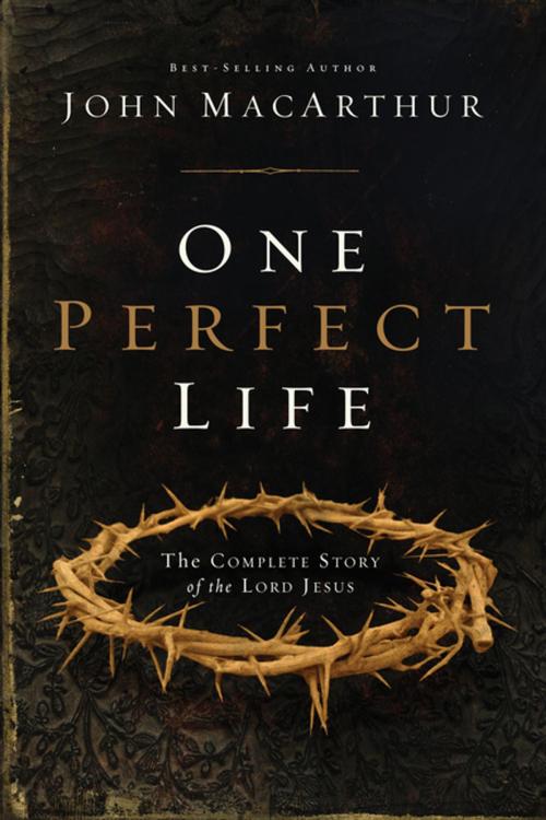 Cover of the book One Perfect Life by John MacArthur, Thomas Nelson