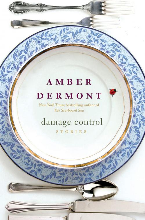 Cover of the book Damage Control by Amber Dermont, St. Martin's Press