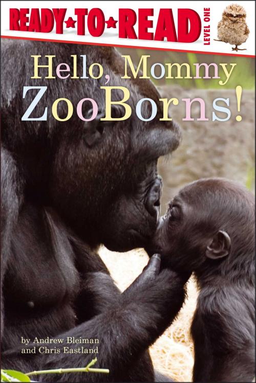 Cover of the book Hello, Mommy ZooBorns! by Andrew Bleiman, Chris Eastland, Simon Spotlight