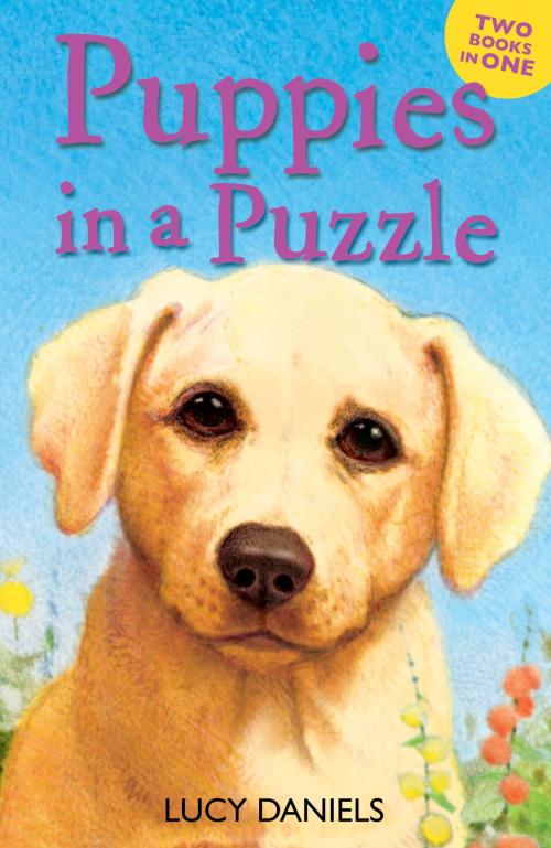 Cover of the book Puppies in a Puzzle by Lucy Daniels, Hachette Children's