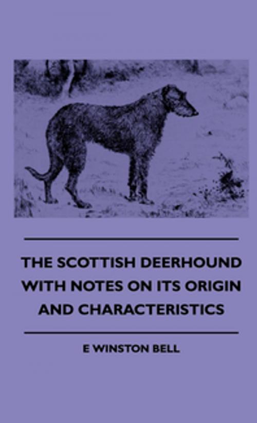 Cover of the book The Scottish Deerhound With Notes On Its Origin And Characteristics by E. Winston Bell, Read Books Ltd.