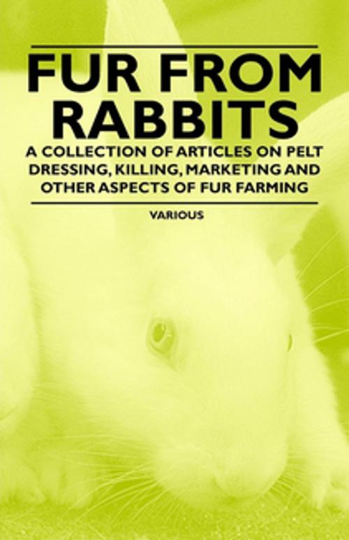 Cover of the book Fur from Rabbits - A Collection of Articles on Pelt Dressing, Killing, Marketing and Other Aspects of Fur Farming by Various Authors, Read Books Ltd.