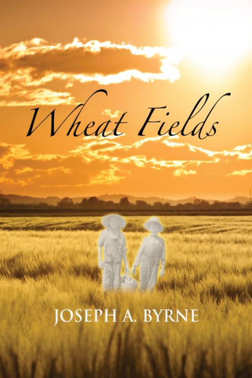 Cover of the book Wheat Fields by Joseph A. Byrne, ebookit