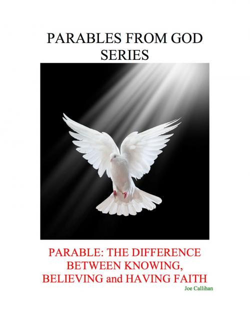 Cover of the book Parables from God Series - Parable: The Difference Between Knowing, Believing, and Having Faith by Joe Callihan, ebookit