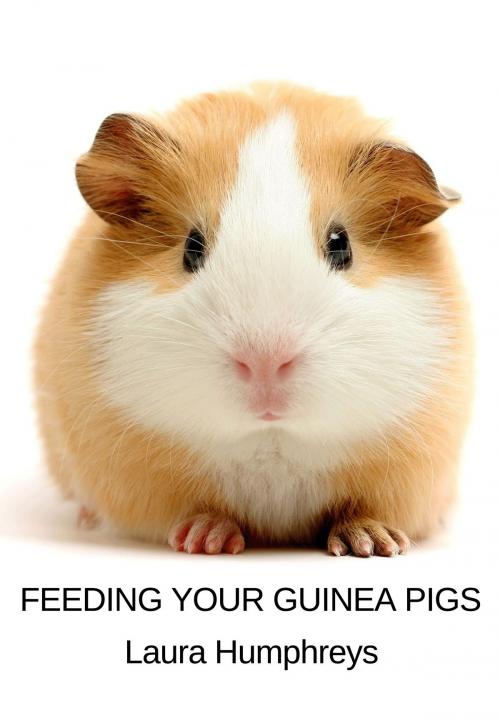 Cover of the book Feeding Your Guinea Pigs by Laura Humphreys, ebookit