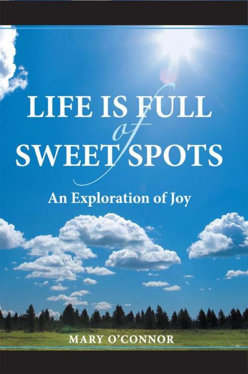 Cover of the book Life Is Full of Sweet Spots by Mary O'connor, Abbott Press
