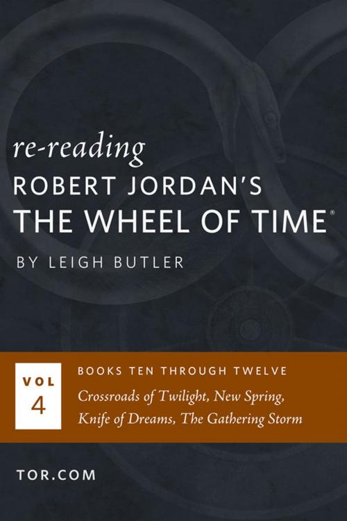 Cover of the book Wheel of Time Reread: Books 10-12 by Leigh Butler, Tom Doherty Associates