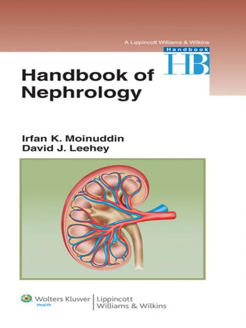 Cover of the book Handbook of Nephrology by David Leehey, Irfan Moinuddin, Wolters Kluwer Health