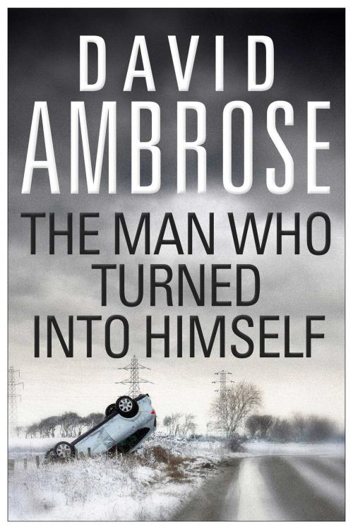 Cover of the book The Man Who Turned Into Himself by David Ambrose, Simon & Schuster UK