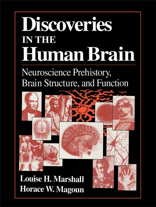 Cover of the book Discoveries in the Human Brain by Louise H. Marshall, Horace W. Magoun, Humana Press