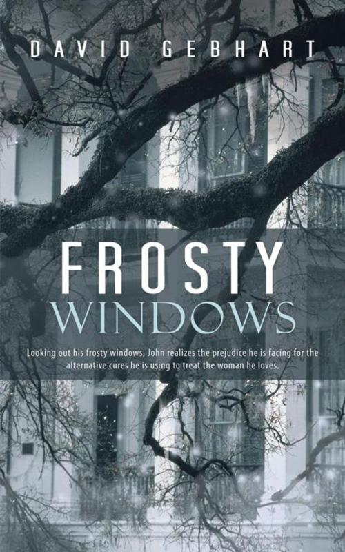 Cover of the book Frosty Windows by David Gebhart, iUniverse