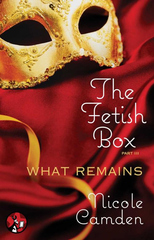 Cover of the book The Fetish Box, Part Three by Nicole Camden, Pocket Star