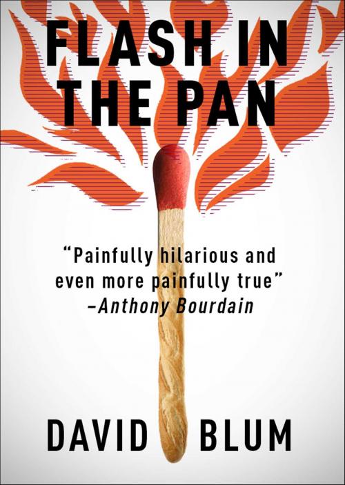 Cover of the book Flash in the Pan by David Blum, Simon & Schuster