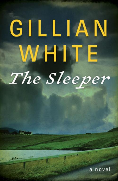 Cover of the book The Sleeper by Gillian White, Open Road Media