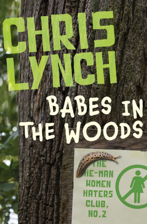 Cover of the book Babes in the Woods by Chris Lynch, Open Road Media