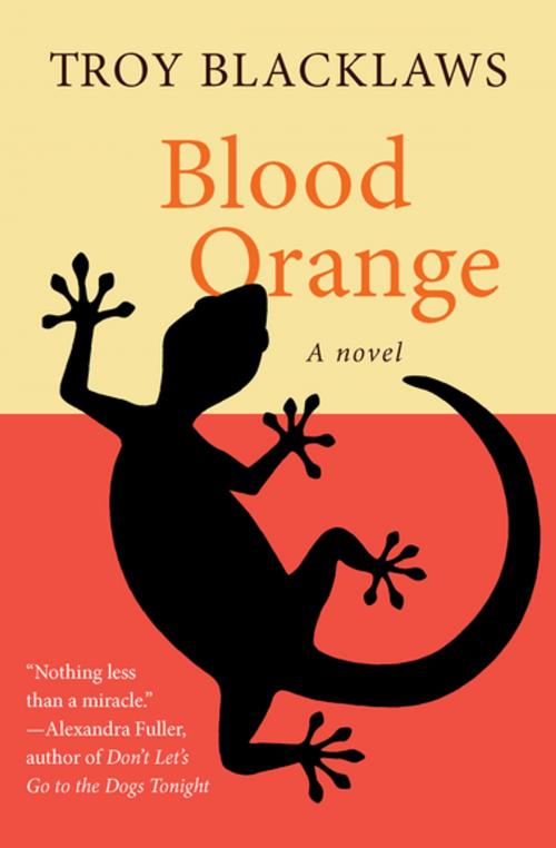 Cover of the book Blood Orange by Troy Blacklaws, Open Road Media