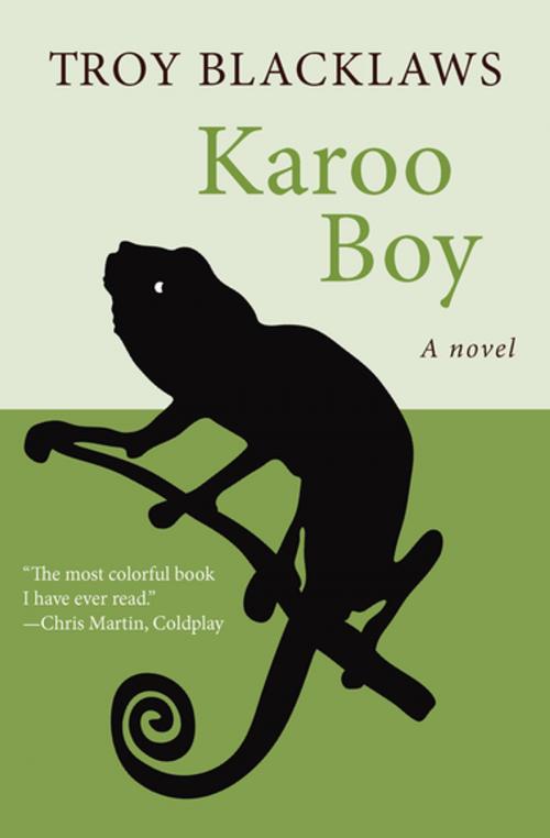 Cover of the book Karoo Boy by Troy Blacklaws, Open Road Media
