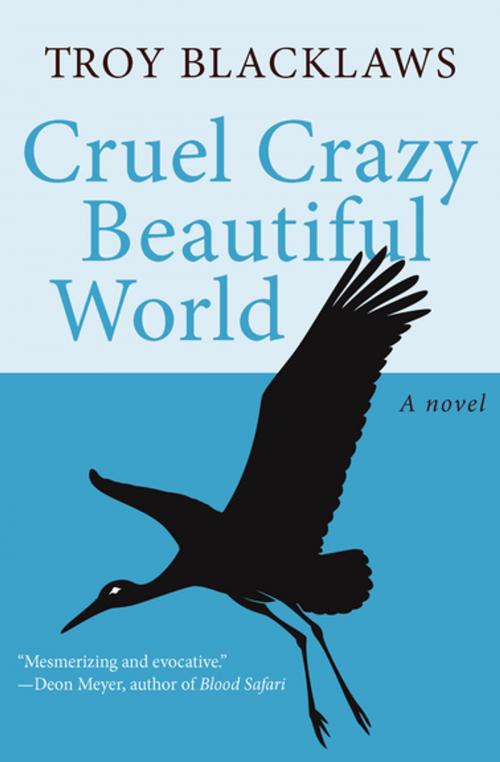 Cover of the book Cruel Crazy Beautiful World by Troy Blacklaws, Open Road Media