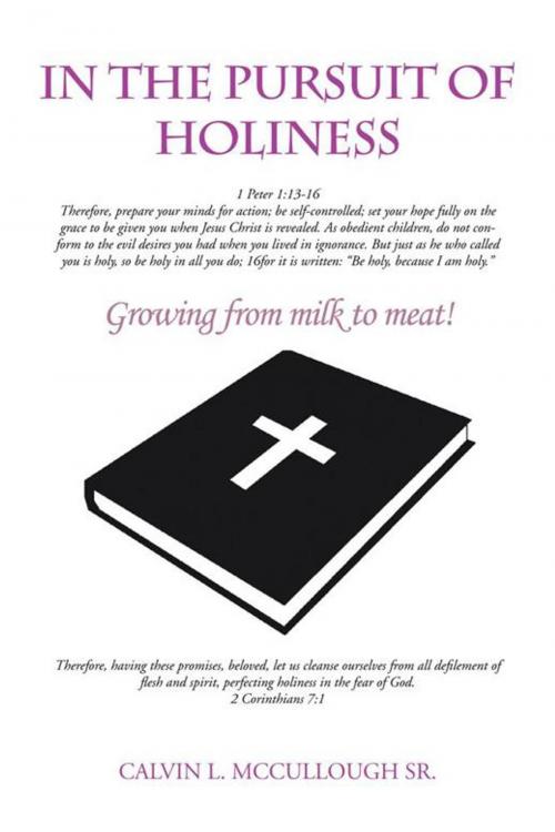 Cover of the book In the Pursuit of Holiness by Calvin L. Mccullough Sr., AuthorHouse