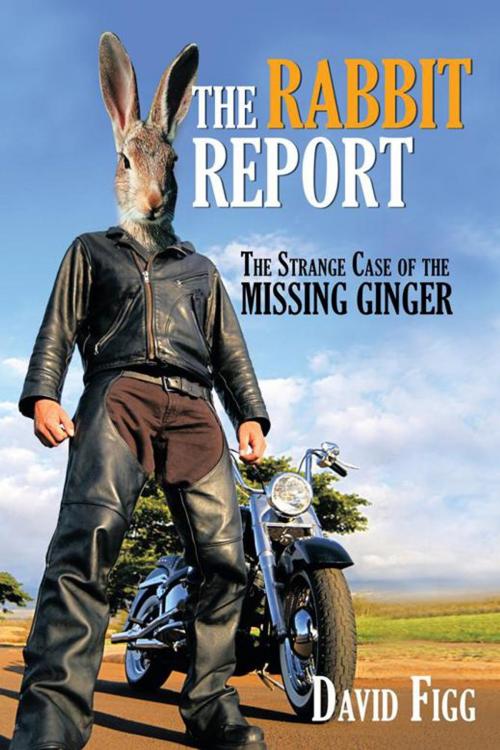 Cover of the book The Rabbit Report by David Figg, AuthorHouse UK