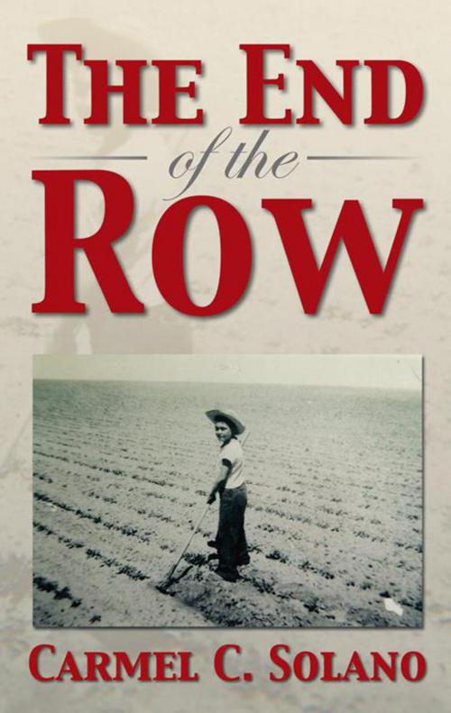 Cover of the book The End of the Row by Carmel C. Solano, Xlibris US