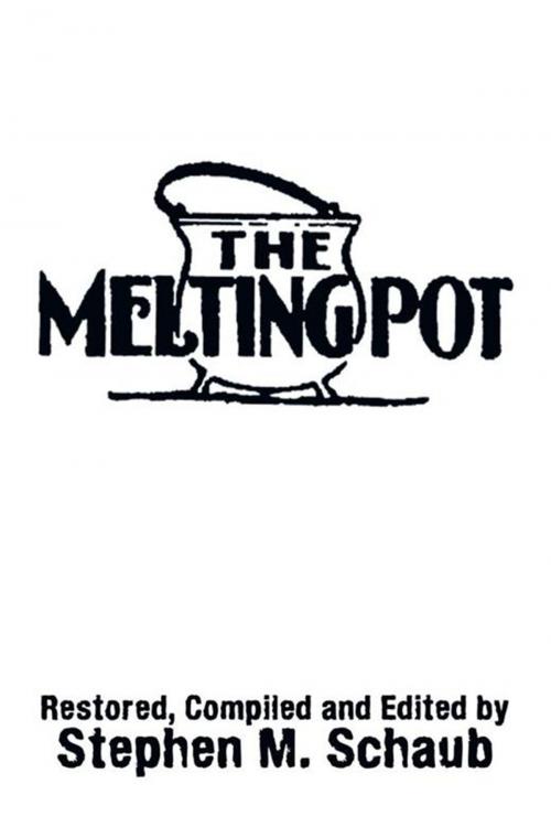 Cover of the book The Melting Pot by Stephen M. Schaub, Xlibris US