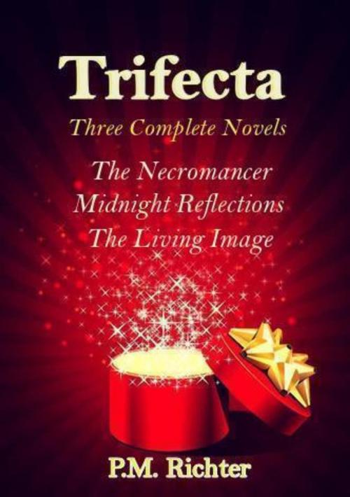 Cover of the book Trifecta by Pamela M. Richter, Pam Richter