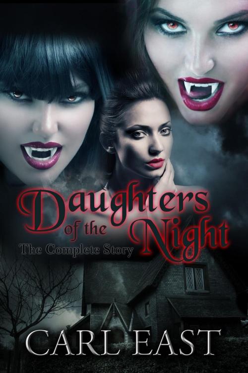 Cover of the book Daughters of the Night the Complete Story by Carl East, Carl East