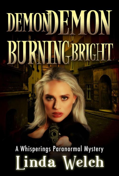 Cover of the book Demon Demon Burning Bright by Linda Welch, Nordic Valley Books