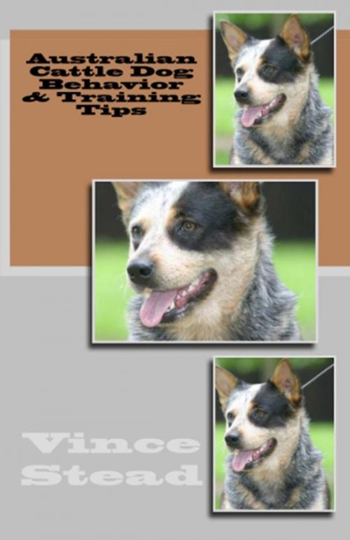 Cover of the book Australian Cattle Dog Behavior & Training Tips by Vince Stead, Vince Stead