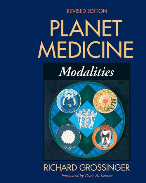 Cover of the book Planet Medicine: Modalities, Revised Edition by Richard Grossinger, North Atlantic Books