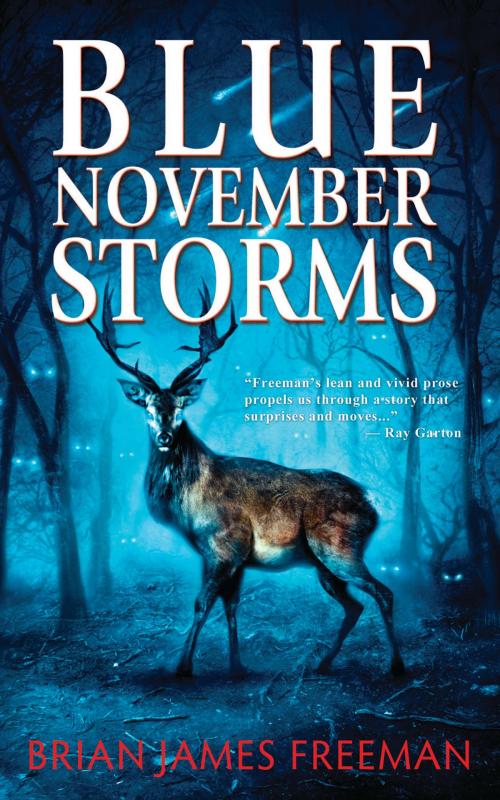 Cover of the book Blue November Storms by Brian James Freeman, Ray Garton, Lonely Road Books
