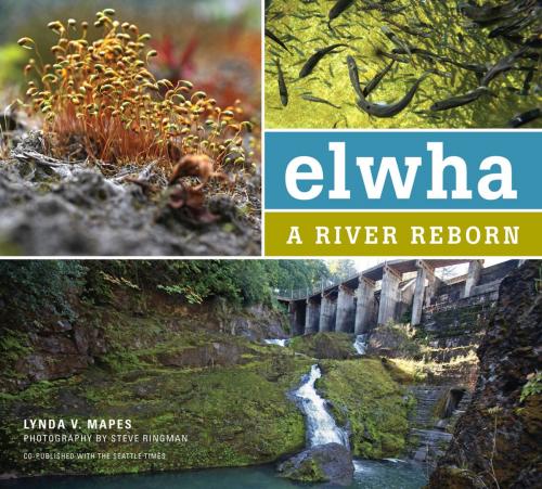 Cover of the book Elwha by Lynda Mapes, Steve Ringman, Mountaineers Books