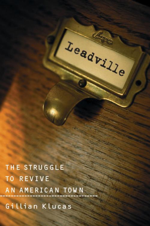 Cover of the book Leadville by Gillian Klucas, Island Press