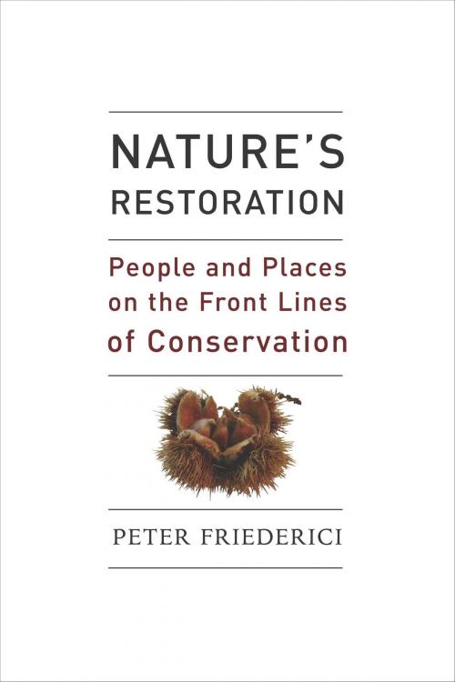Cover of the book Nature's Restoration by Peter Friederici, Island Press