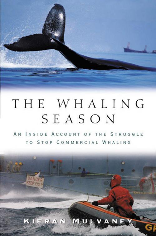 Cover of the book The Whaling Season by Kieran Mulvaney, Island Press