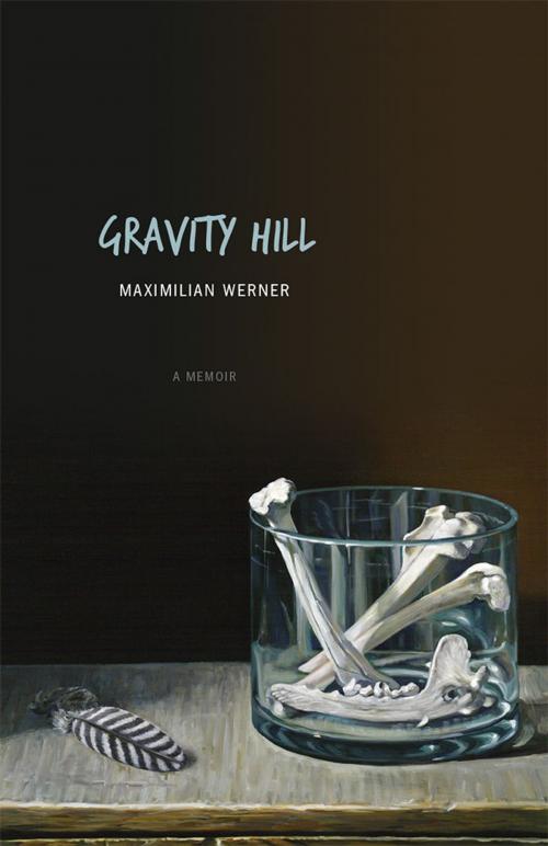 Cover of the book Gravity Hill by Maximilian Werner, University of Utah Press